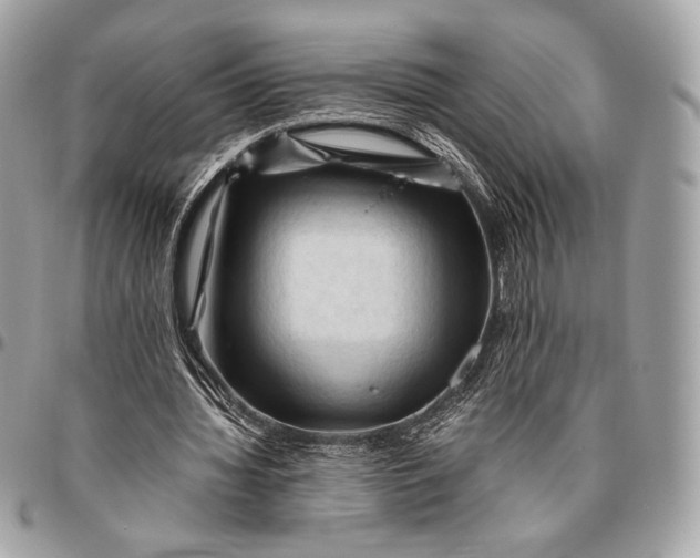 X0000096440436200802071752