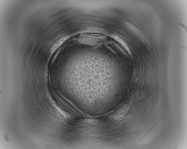 X0000096440437200802071752