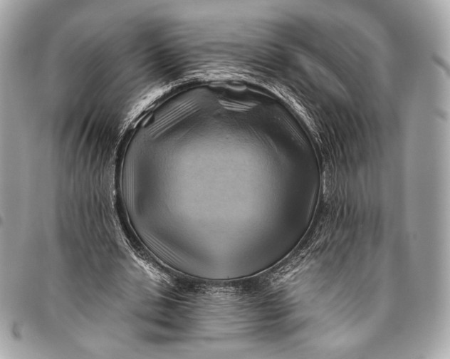 X0000096440438200802071752