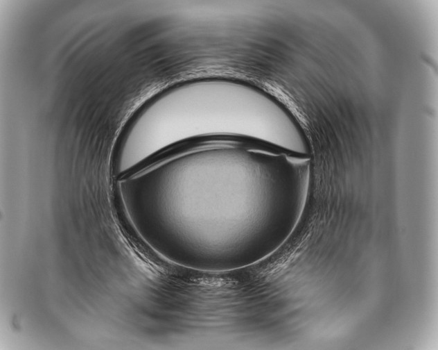 X0000096440439200802071752