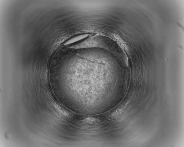 X0000096440441200802071752