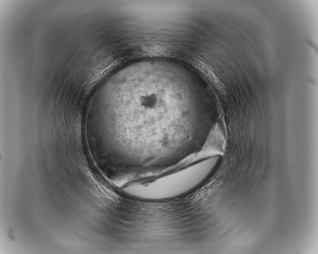 X0000096440442200802071752