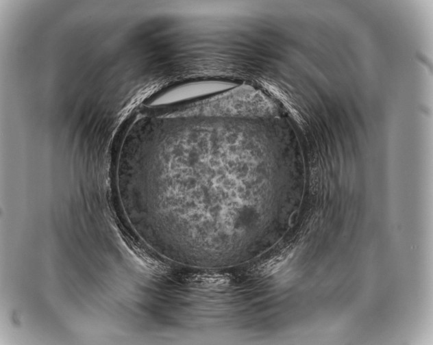 X0000096440443200802071752