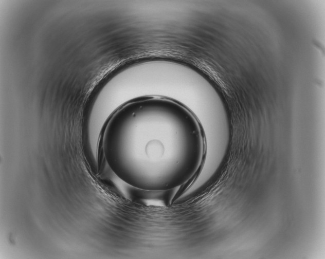 X0000096440444200802071752