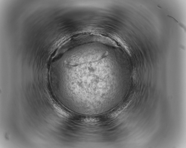 X0000096440445200802071752