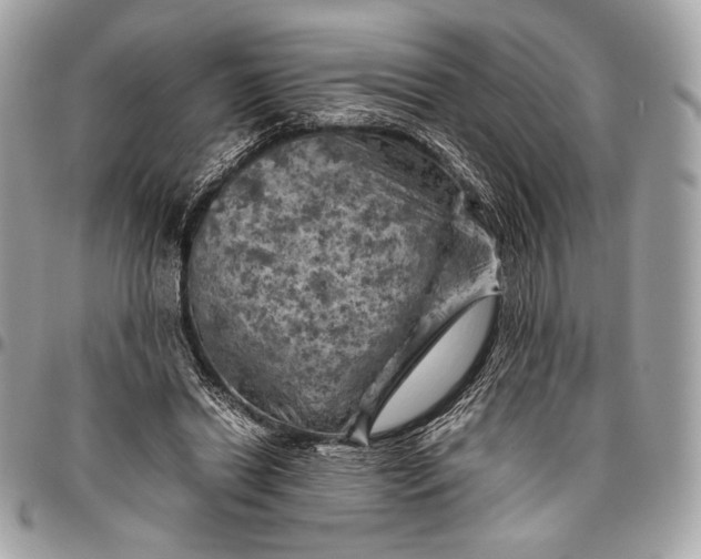 X0000096440446200802071752