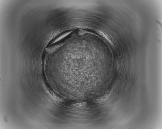 X0000096440447200802071752