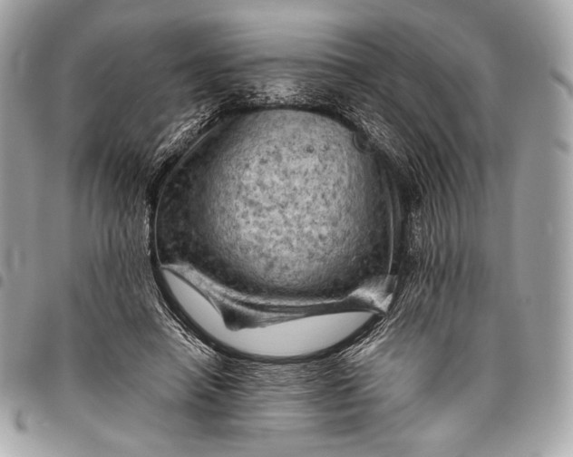 X0000096440450200802071752