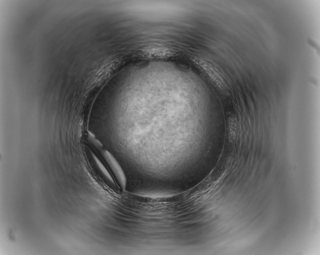 X0000096440451200802071752