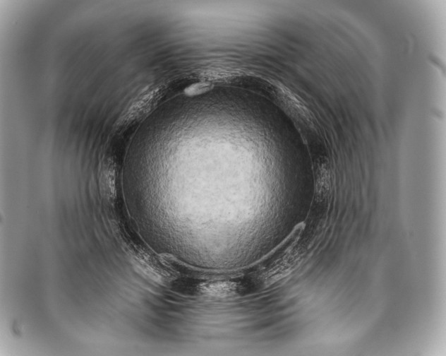 X0000096440452200802071752