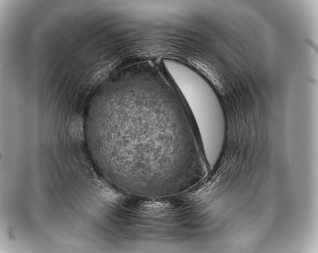 X0000096440453200802071752