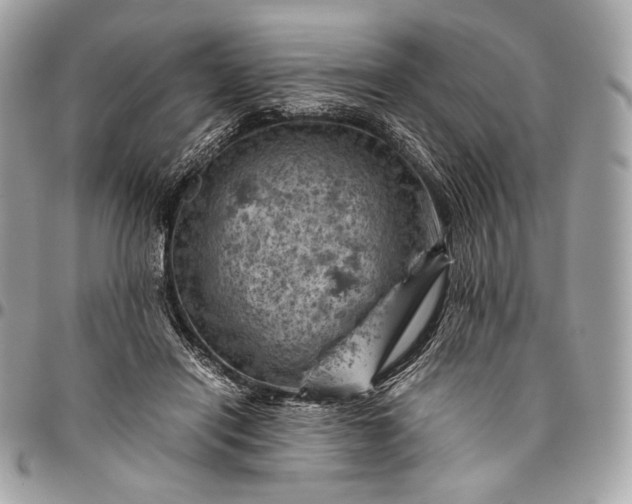 X0000096440454200802071752