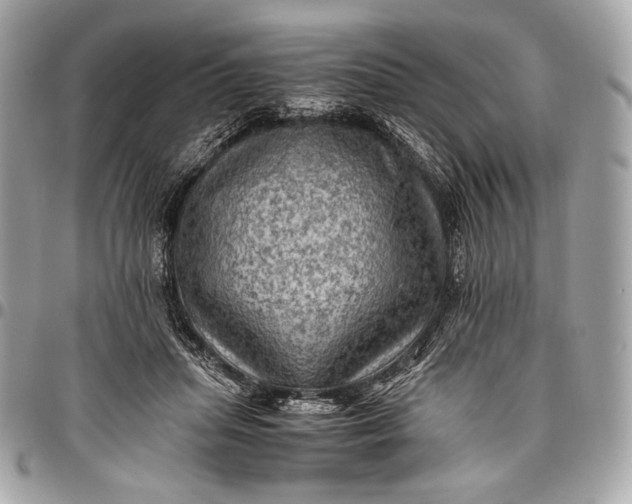 X0000096440455200802071752