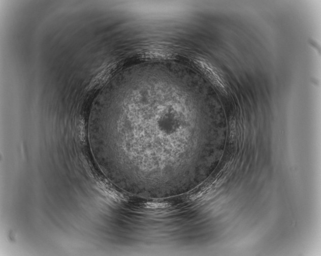 X0000096440457200802071752