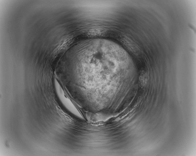 X0000096440458200802071752