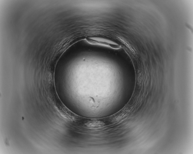 X0000096440459200802071752