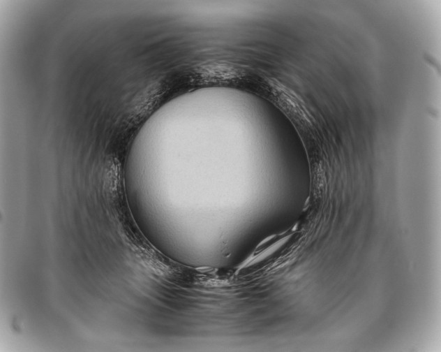 X0000096440463200802071752