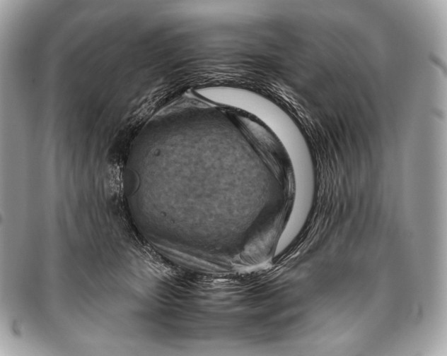 X0000096440467200802071752