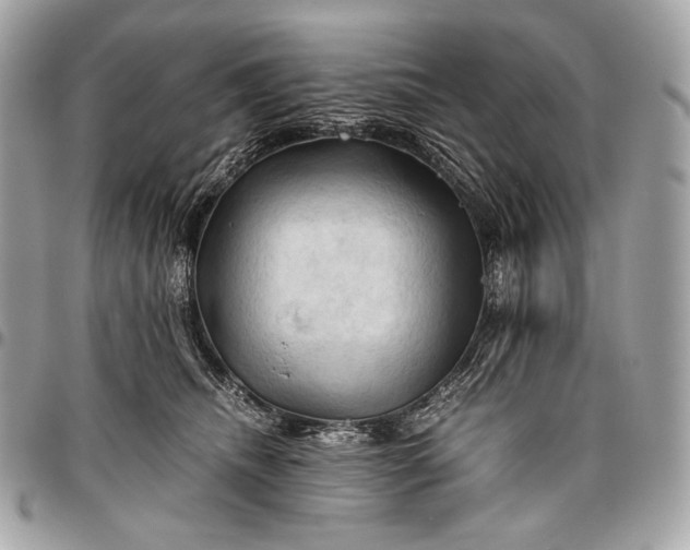 X0000096440468200802071752