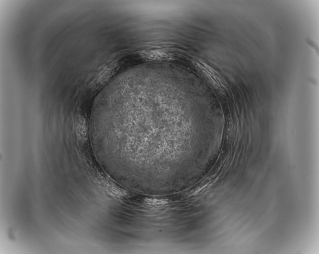 X0000096440469200802071752