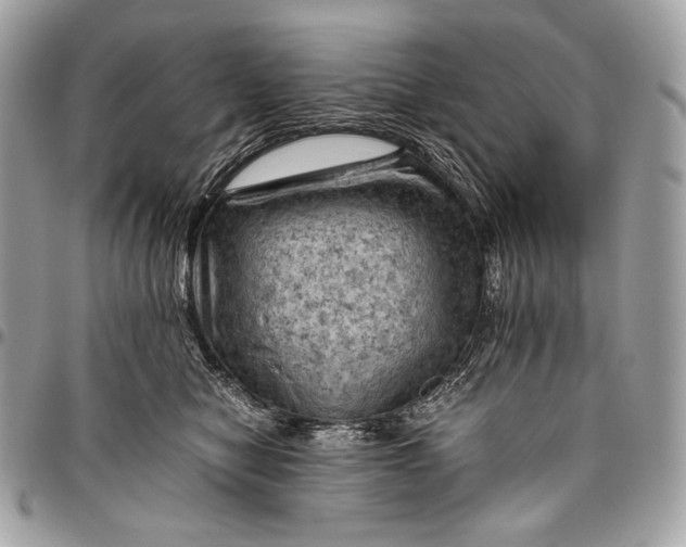 X0000096440470200802071752