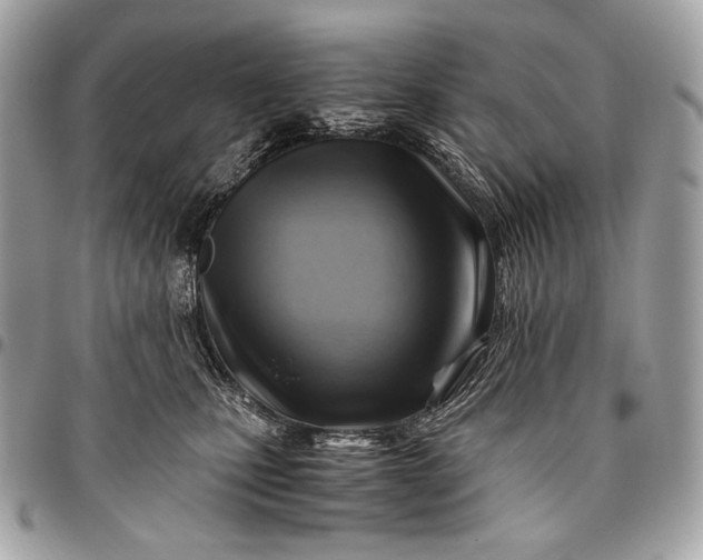 X0000096440471200802071752