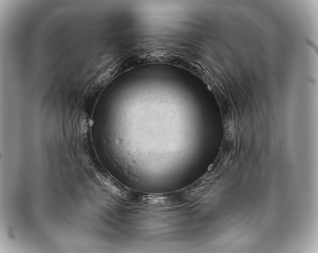 X0000096440472200802071752