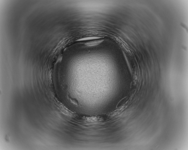 X0000096440473200802071752