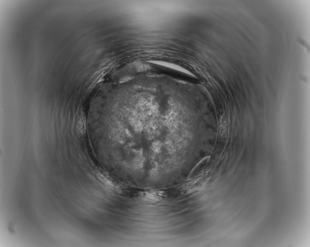 X0000096440474200802071752