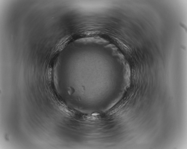 X0000096440475200802071752