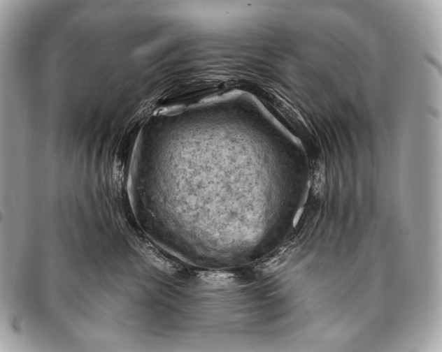 X0000096440476200802071752