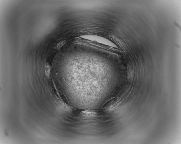 X0000096440477200802071752