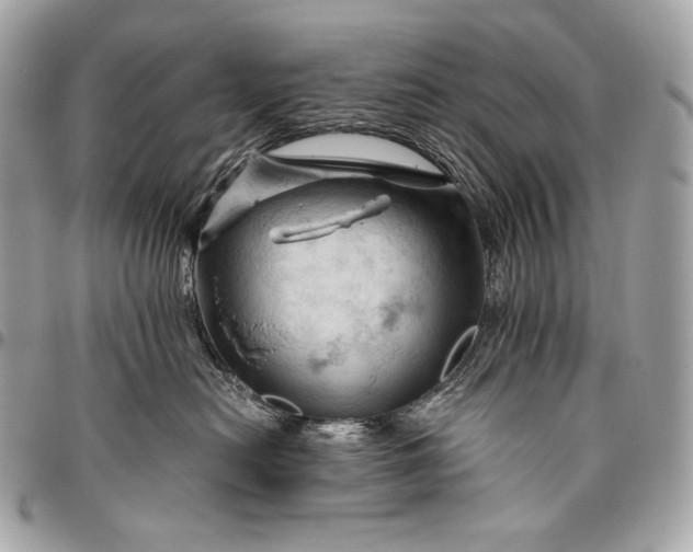 X0000096440478200802071752