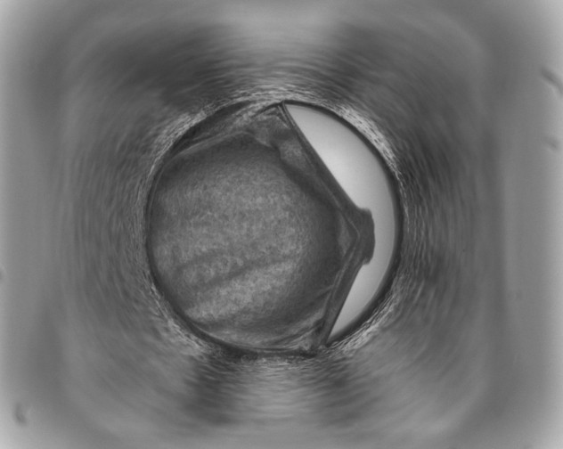 X0000096440481200802071752