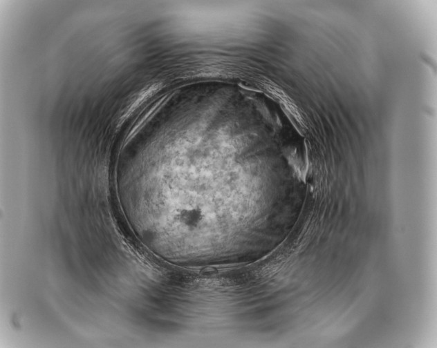 X0000096440482200802071752