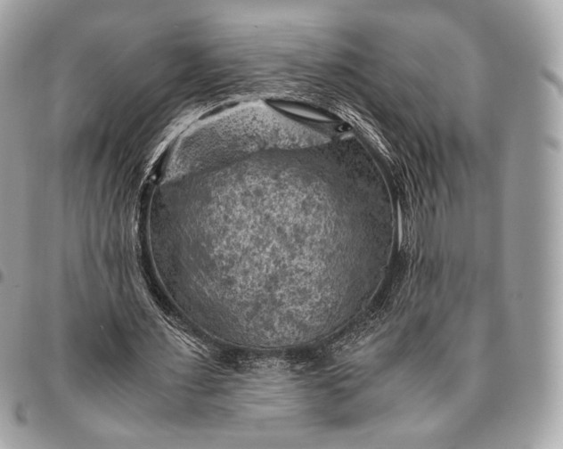 X0000096440483200802071752