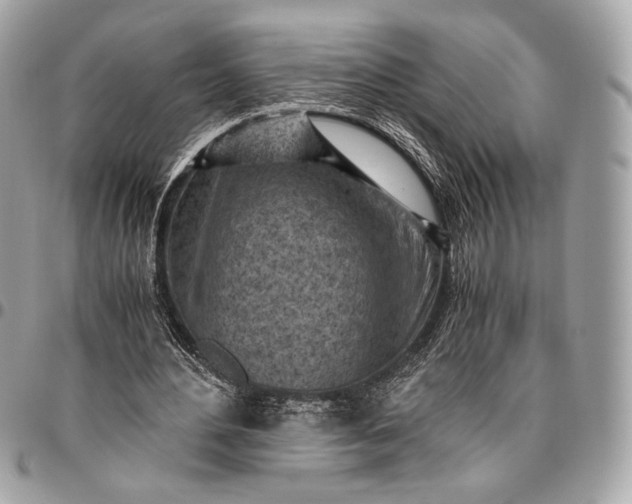 X0000096440484200802071752