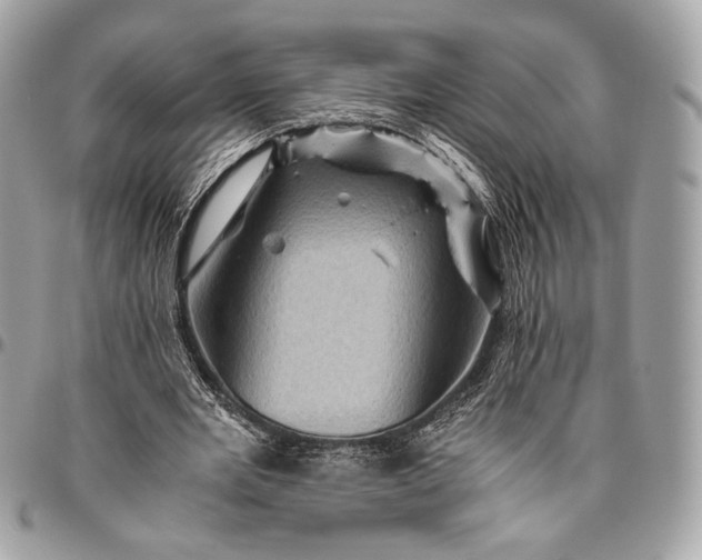 X0000096440485200802071752