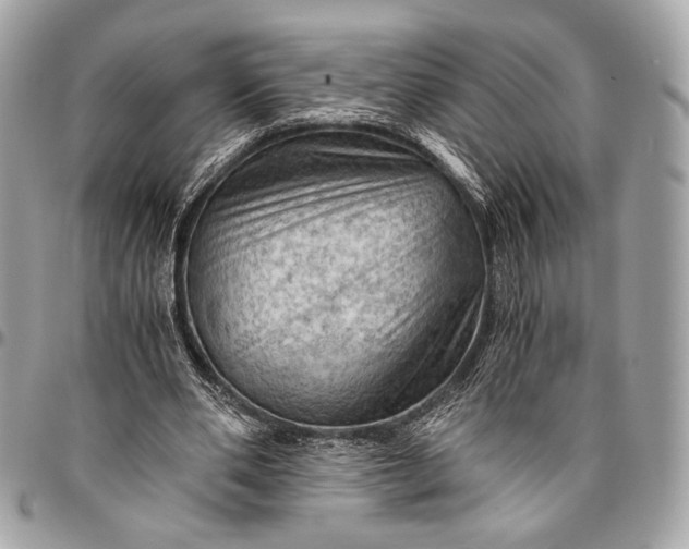 X0000096440486200802071752