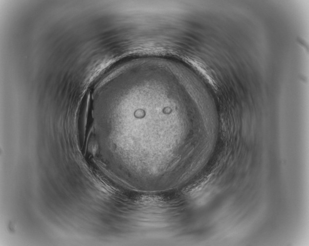 X0000096440487200802071752