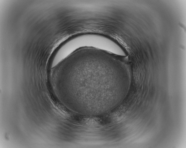 X0000096440488200802071752