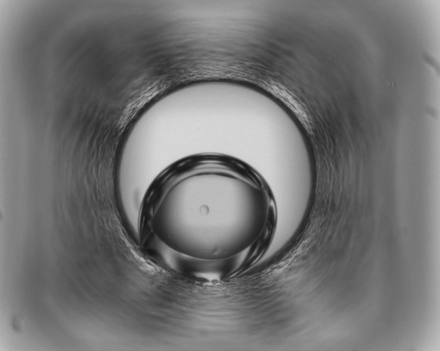 X0000096440489200802071751