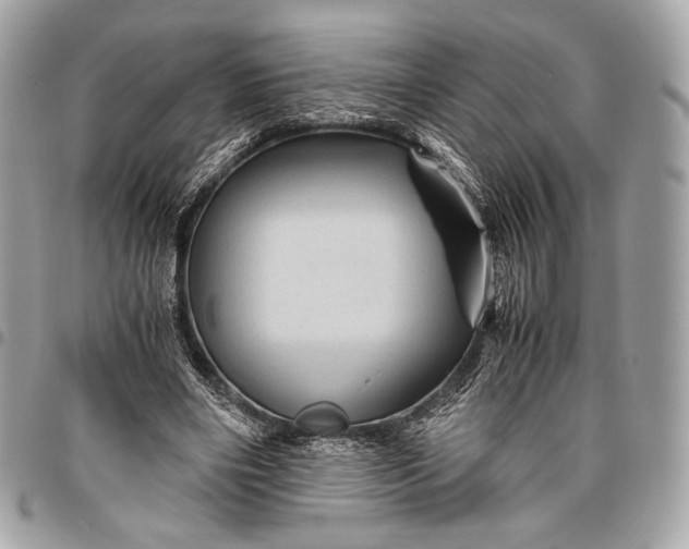 X0000096440490200802071751