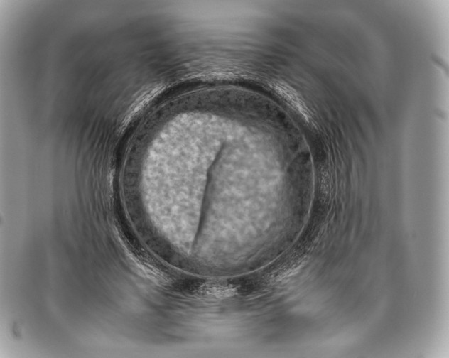 X0000096440491200802071751