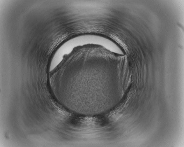 X0000096440493200802071751