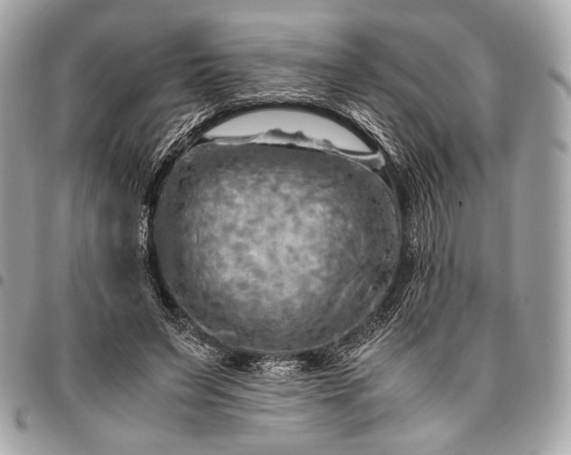 X0000096440495200802071751