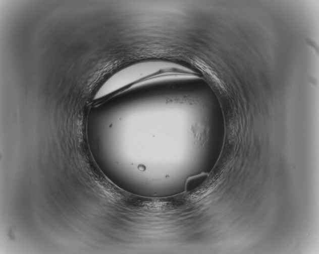 X0000096440497200802071751