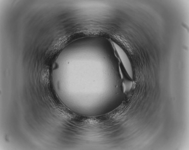 X0000096440498200802071751