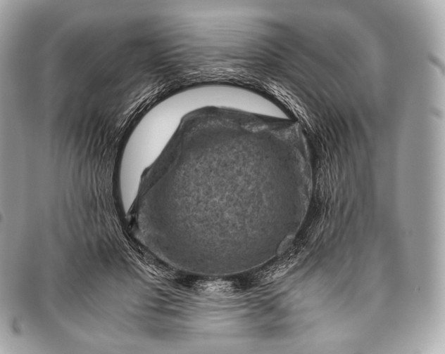 X0000096440501200802071751