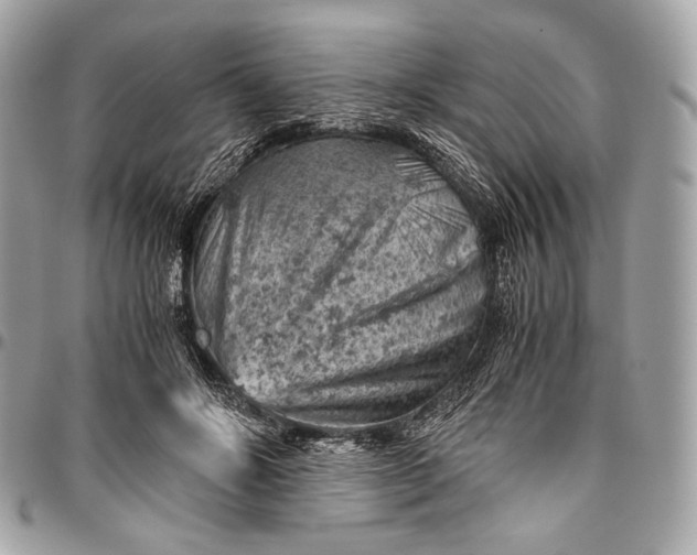 X0000096440502200802071751